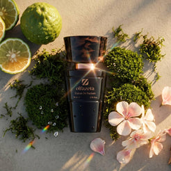 Flacon noir Olfazeta by Chogan Millésime N°164 en flat-lay parmi mousse verte, agrumes et fleurs roses au soleil